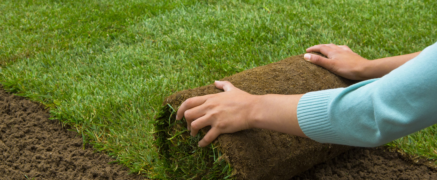 Luxurious and Dense 100% Kentucky Bluegrass Sod